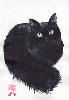 黒猫２.jpg